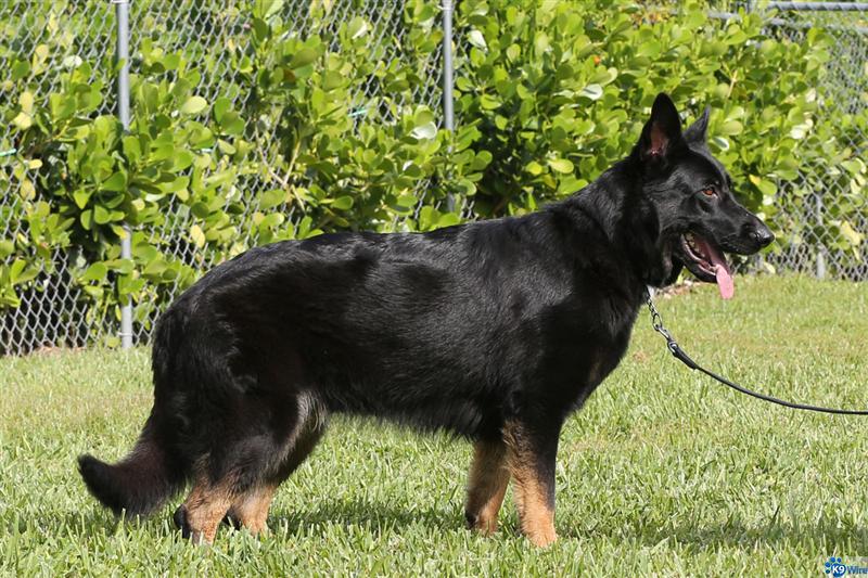 Ruby Vom Sonoline